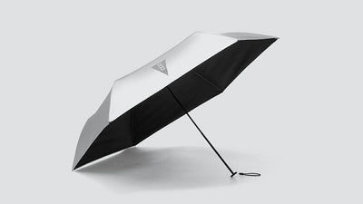 Light in Hand, Easy on the Day